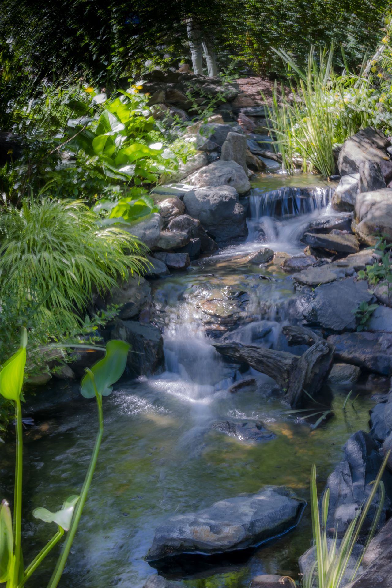 Denver Botanical Garden Falls.jpg -  by Dennis Rose